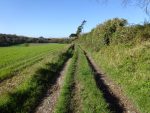 Farm track